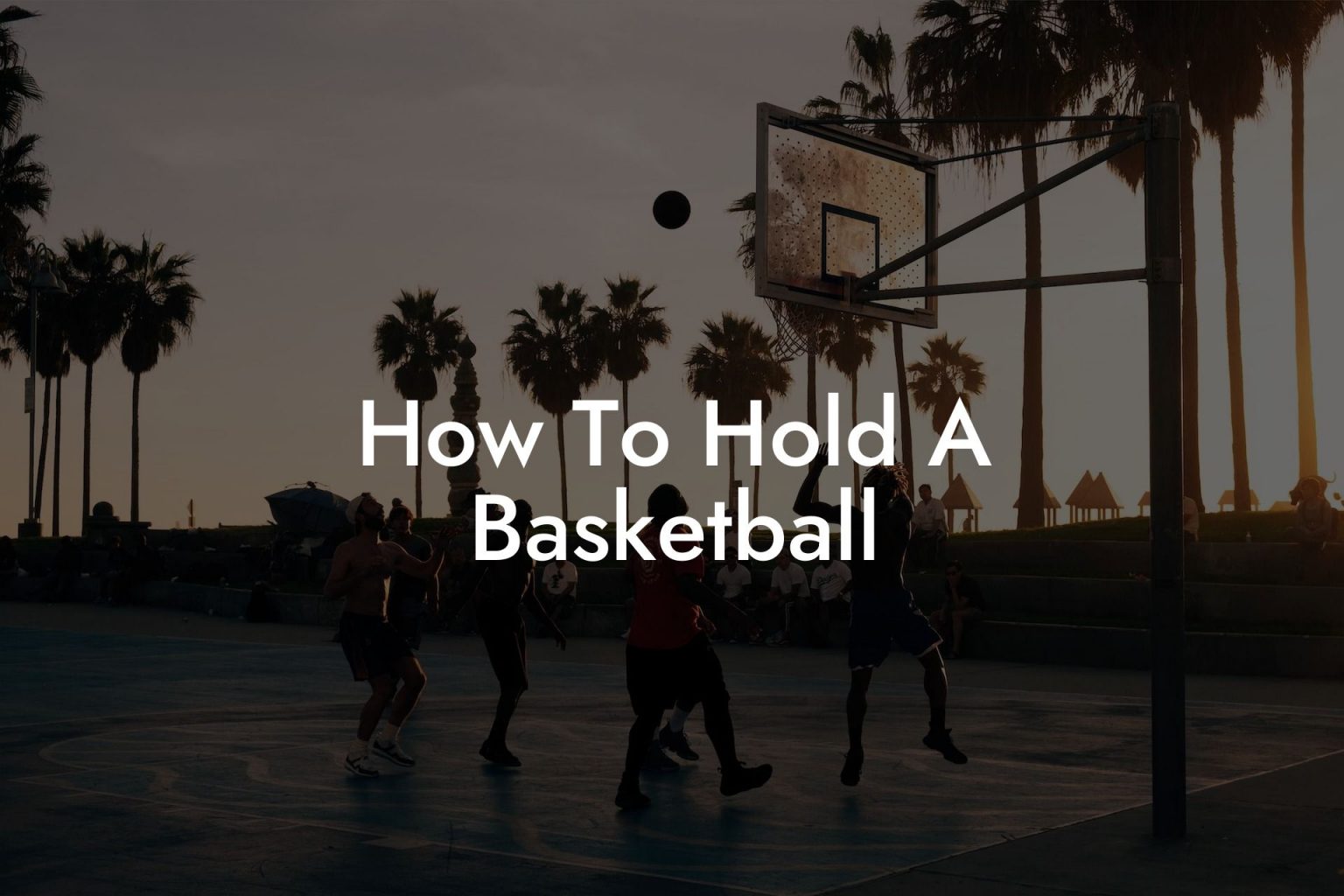 How To Hold A Basketball Triple Threat Tactics Everything Basketball